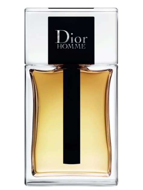 dior dior homme eau de toilett|dior homme parfum 2020.